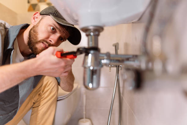 Best Plumbing Inspection Services  in Ann Arbor, MI